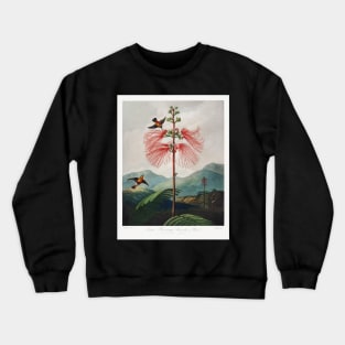 Large–Flowering Sensitive Plant Crewneck Sweatshirt